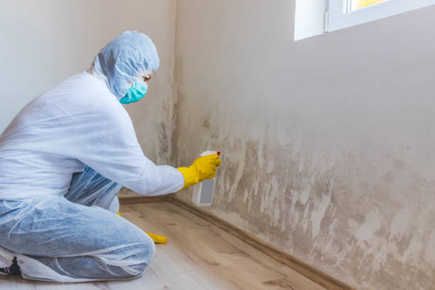Licensed Commercial Mold Remediation service in Ashland, PA - WQB Mold Removal