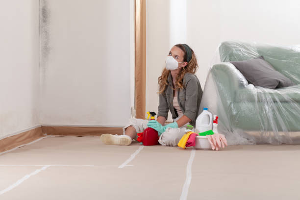 Reliable Commercial Mold Remediation contractor in Ashland, PA by WQB Mold Removal